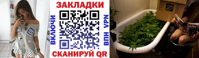 Все наркотики Болохово Альфа ПВП  ГАШИШ  Канабис 
