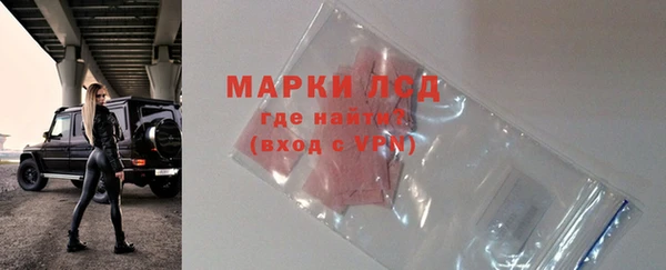 трава Медвежьегорск