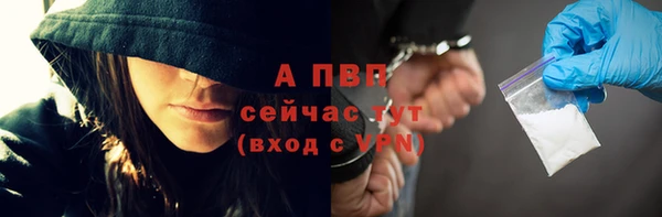 трава Медвежьегорск