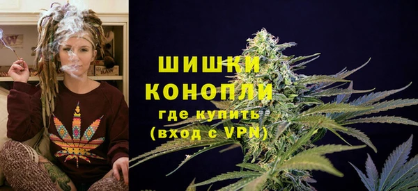 трава Медвежьегорск