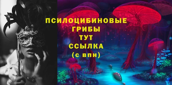 трава Медвежьегорск