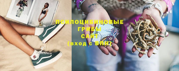 трава Медвежьегорск