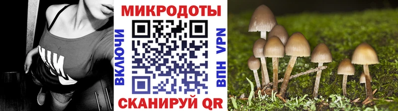 где найти   Болохово  Галлюциногенные грибы GOLDEN TEACHER 